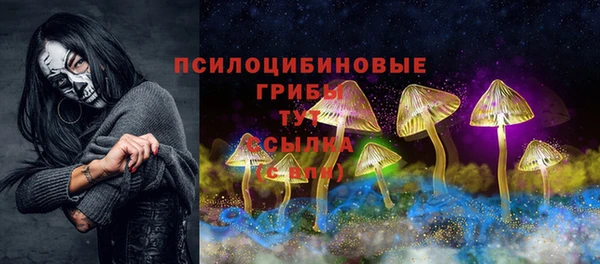 ECSTASY Алексеевка