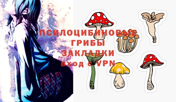 твердый Нефтекумск
